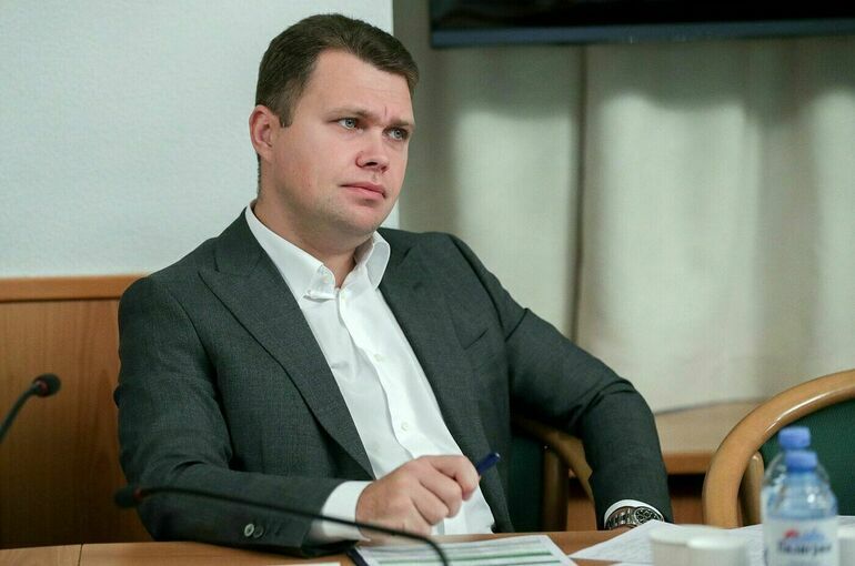 Депутат разъяснил механизм защиты имущества многодетных семей от взыскания