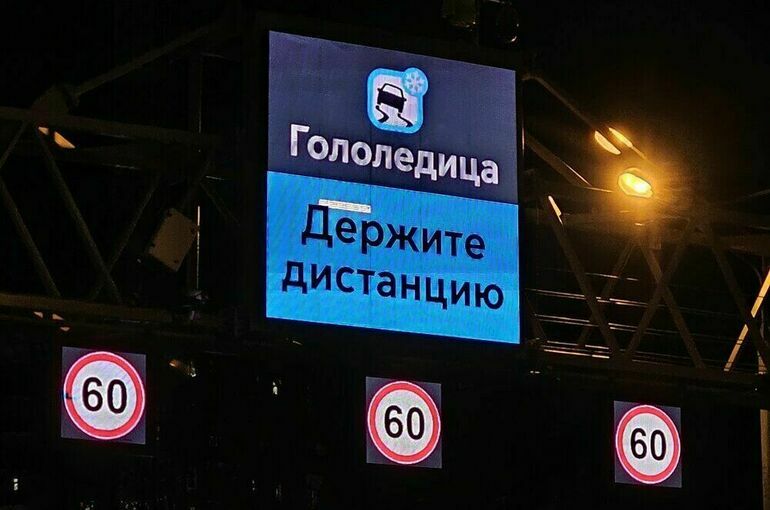 Жителей Москвы предупредили о сильной гололедице и мокром снеге 12 декабря