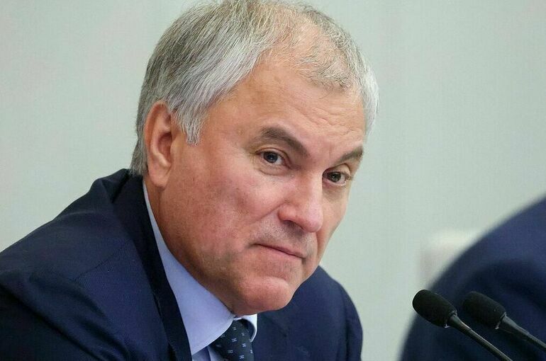 Володин проводит опрос на тему маркетплейсов