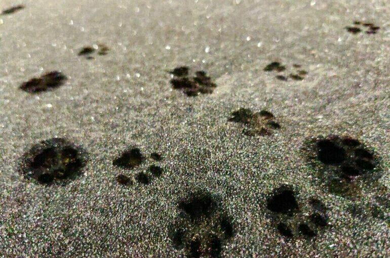 Москвичей предупредили о резком похолодании в выходные