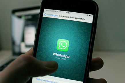 Россиян предупредили о распространении шпионской версии WhatsApp*