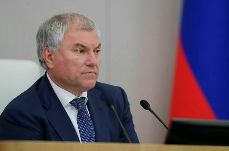 Володин: Госдума в ближайшее время рассмотрит ограничения для покинувших РФ преступников