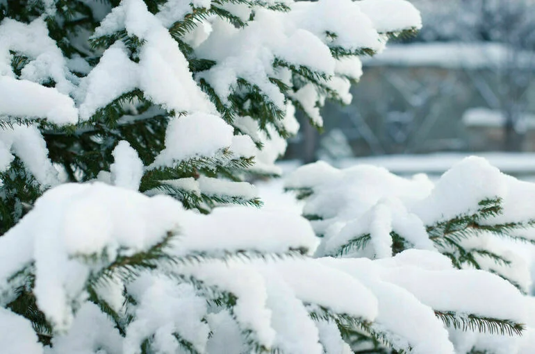 С заснеженной трассы в Саратовской области эвакуировали 148 человек