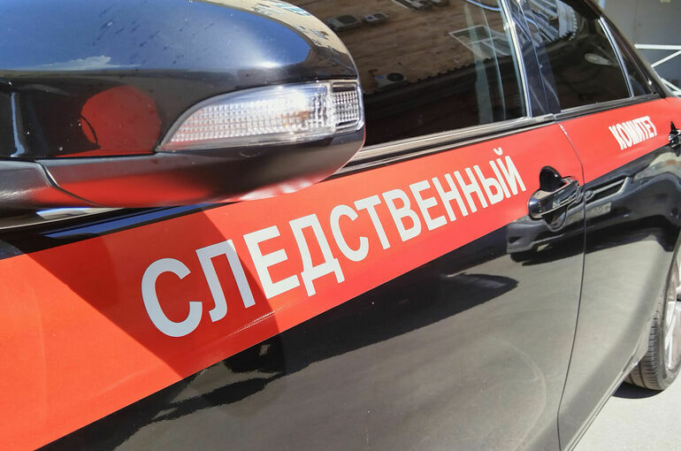 После крушения легкомоторного самолета в Подмосковье возбудили уголовное дело