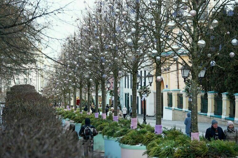 Москвичам спрогнозировали пасмурную погоду с повышенной влажностью до конца недели