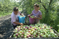 Порядок созыва собрания сельхозкооператива изменят