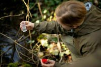 Корректировку платы за экологический вред в новых регионах отложат до 2028 года