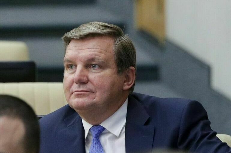 Депутат Ананских перечислил проблемы внедрения ИИ в энергетике