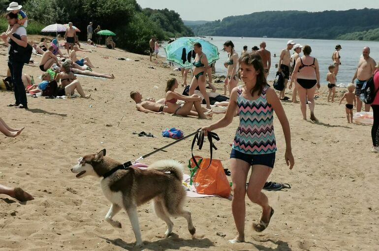 Гостиницы и пляжи станут более доступными для инвалидов