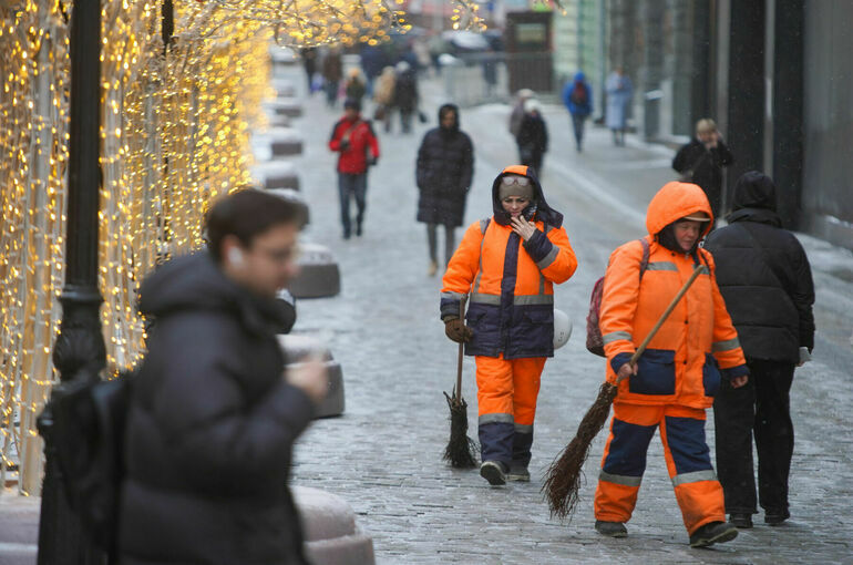 Мигрантов предложили лишать патента за неисполнение решения суда
