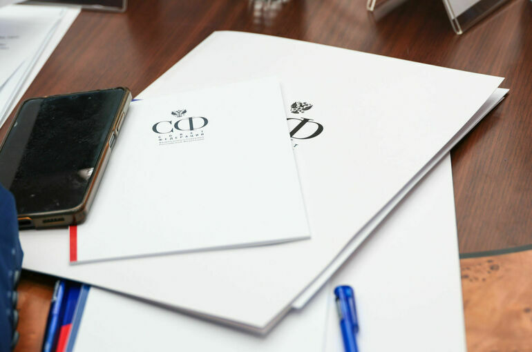 Комитет Совфеда поддержал закон, уточняющий статус профессиональных спортивных лиг