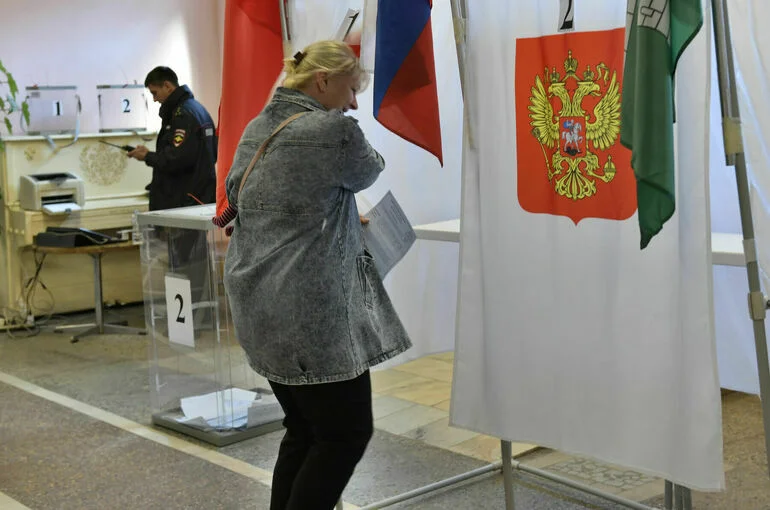 Самозанятым разрешат участвовать в выборах