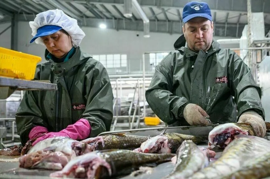 В Рыбном союзе рассказали, почему печень трески стала продуктом для богатых