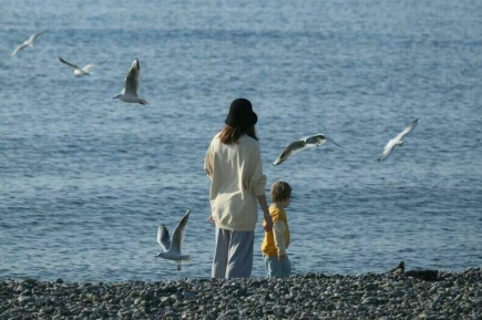 Экотуризм и джазовые концерты: «Сириус» станет местом притяжения молодежи