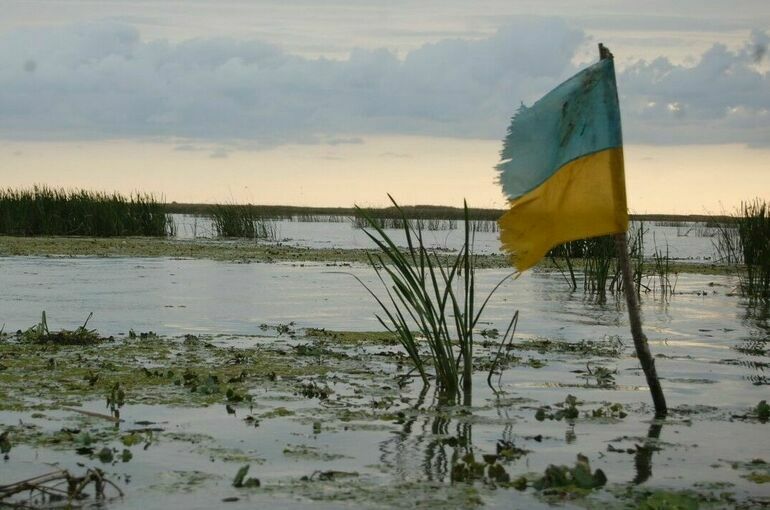 СВР: Украинские чиновники после падения режима хотят сбежать за границу