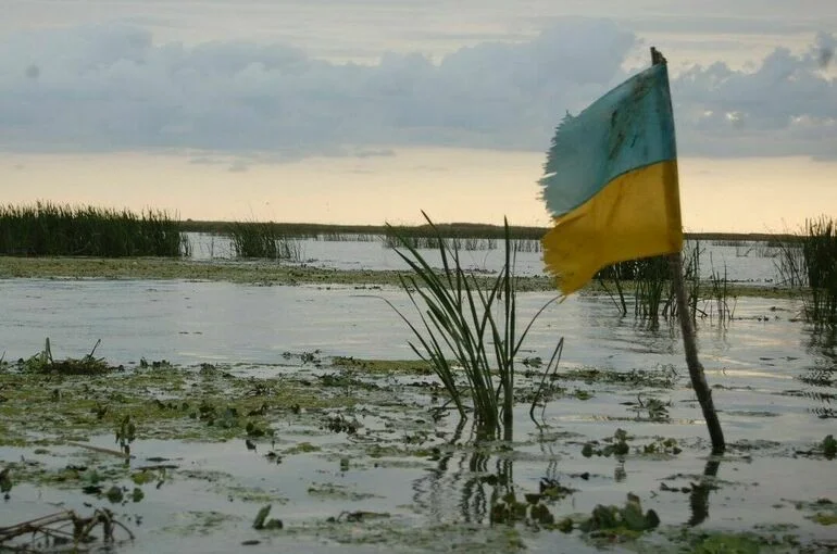 СВР: Украинские чиновники после падения режима хотят сбежать за границу