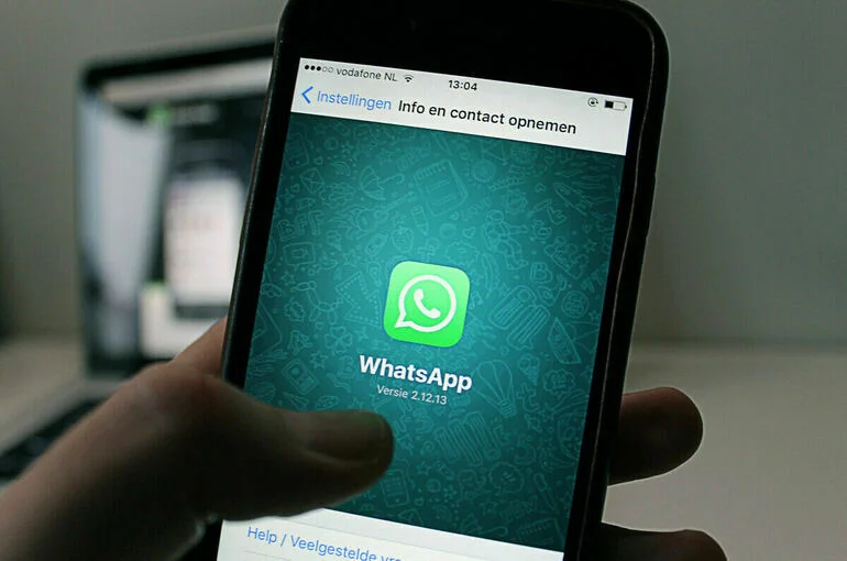 Россияне пожаловались на массовый сбой в WhatsApp*