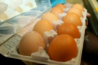 ФАС выдала предостережение из-за прогноза роста цен на яйца в СМИ