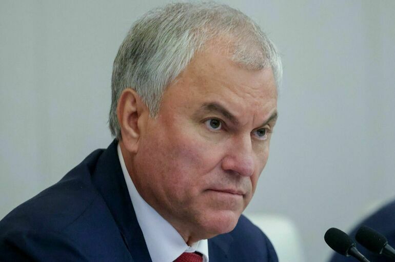 Володин предложил коллегам поработать 1 января в своих регионах