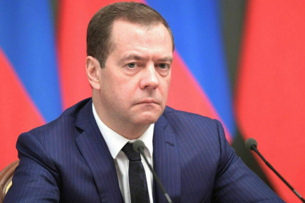 Медведев: Неверифицированные мигранты должны быть выдворены из страны