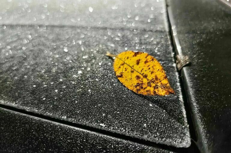 Москвичей предупредили о самой холодной ночи в году