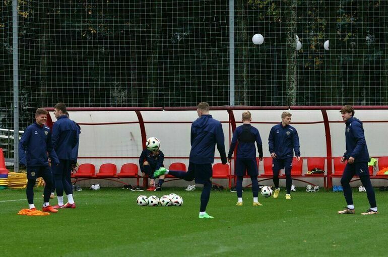 В России закрепят понятие «командный игровой вид спорта»