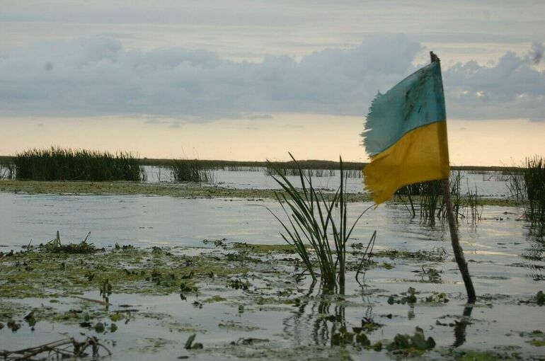 ТАСС: ВСУ из-за потерь отводят войска вглубь Сумской области
