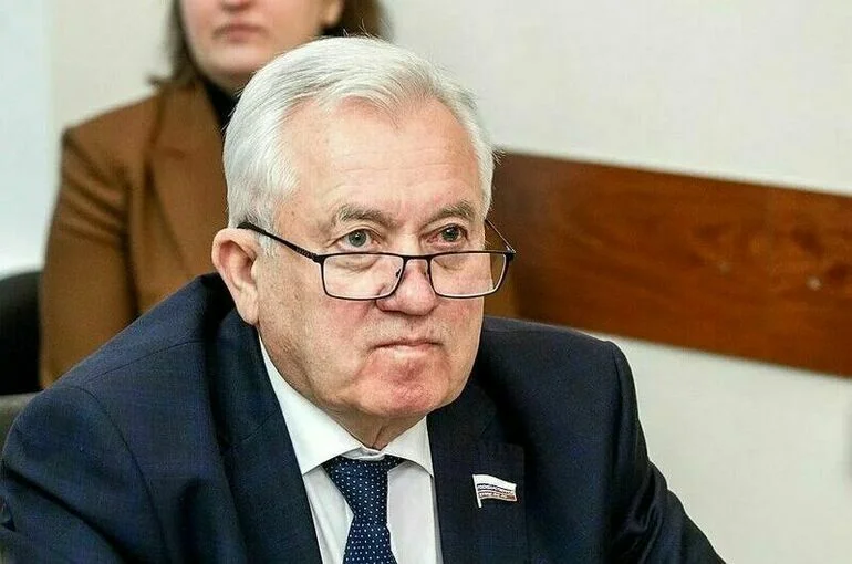 Депутат: В своем плане Украина пытается минимизировать влияние РФ на процессы в Европе