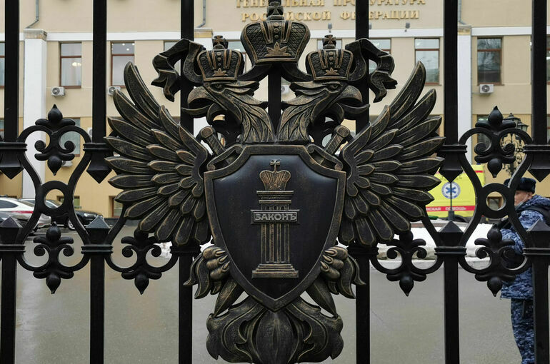 Тамаре Эйдельман* утвердили обвинение в реабилитации нацизма