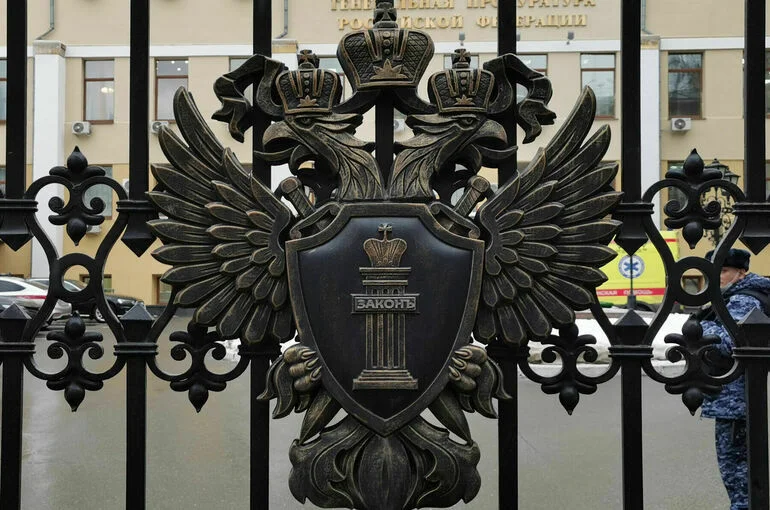 Тамаре Эйдельман* утвердили обвинение в реабилитации нацизма