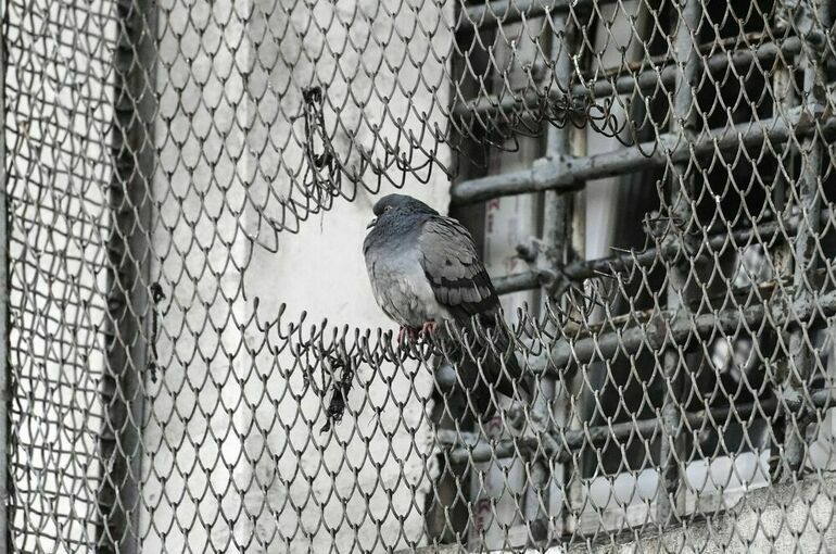 Начальникам исправительных учреждений дадут право вводить особый режим