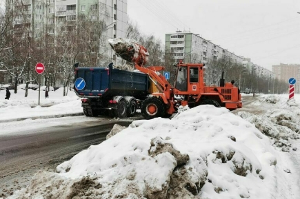В Москве ожидают до 25 см снега в первую пятидневку 2026 года