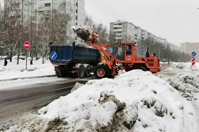 В Москве ожидают до 25 см снега в первую пятидневку 2026 года