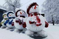 Синоптик рассказал о погоде в Москве в новогоднюю ночь