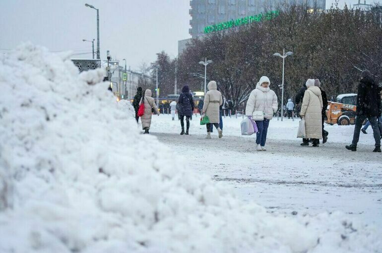 В Москве объявили желтый уровень погодной опасности из-за ветра и метели