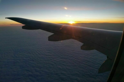 Путин поручил проработать введение скидок на авиабилеты для детей до 12 лет