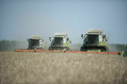 В России создадут единую аграрную цифровую платформу