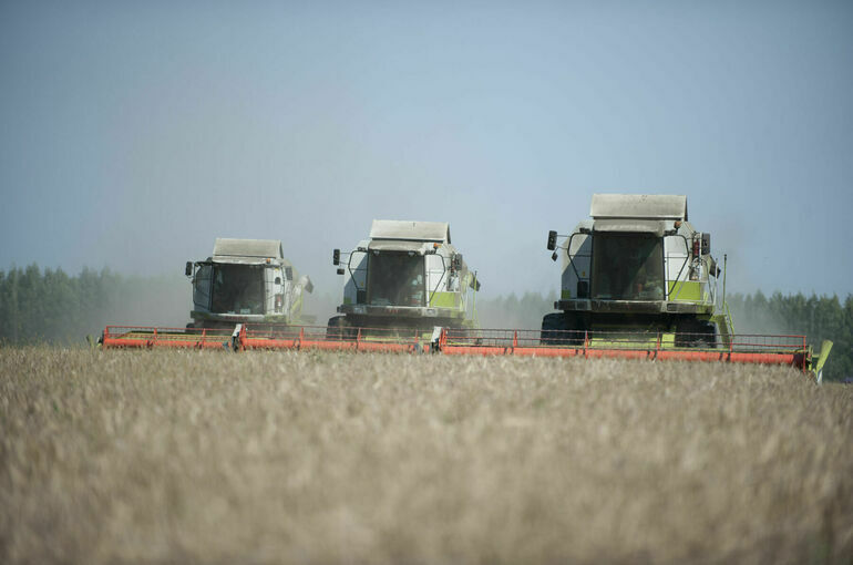 В России создадут единую аграрную цифровую платформу