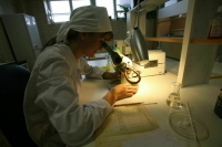 Систему мотивации научных сотрудников в России расширят