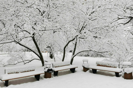 Аномальный снегопад в Московской области побил два исторических рекорда