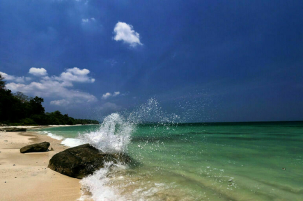 Россиян предупредили об опасности песчаных блох в Индии