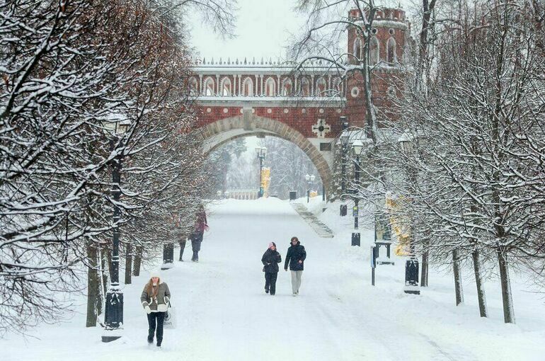 Синоптик спрогнозировал тридцатиградусные морозы в европейской части России 