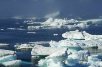 В конгресс США внесли законопроект об «аннексии» Гренландии