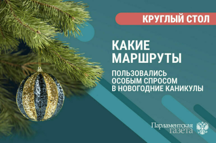 «Какие маршруты пользовались особым спросом в новогодние каникулы»