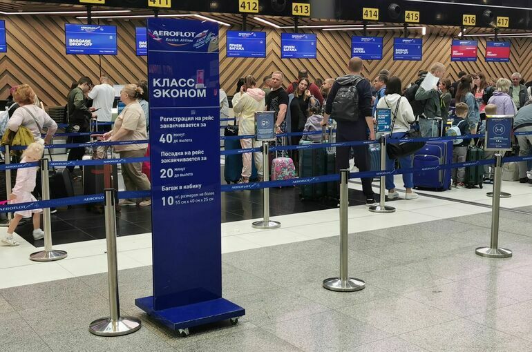 Депутат предложила ввести единый размер ручной клади в самолетах