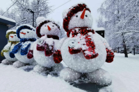 Сильные морозы придут в Москву и Подмосковье уже в эти выходные