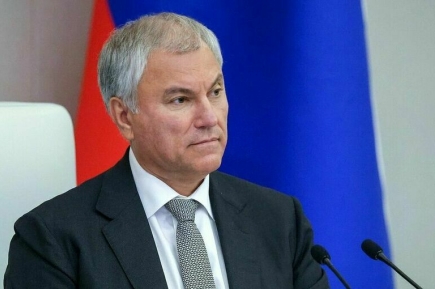 Володин проводит опрос о введении самозапрета на платежи в компьютерных играх