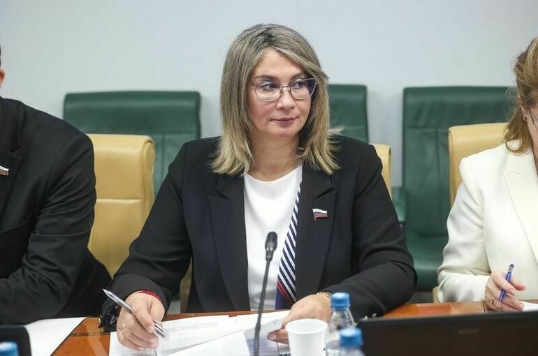 Сенатор Косихина считает, что МАХ должен работать как «одно окно»