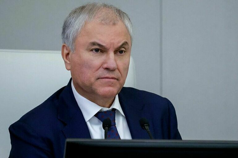 Володин рассказал о новых изменениях, совершенствующих контроль в сфере миграции