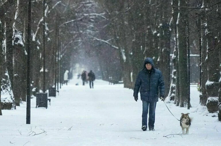 Синоптик: Январь 2026‑го в Москве может войти в топ‑10 самых холодных за XXI век